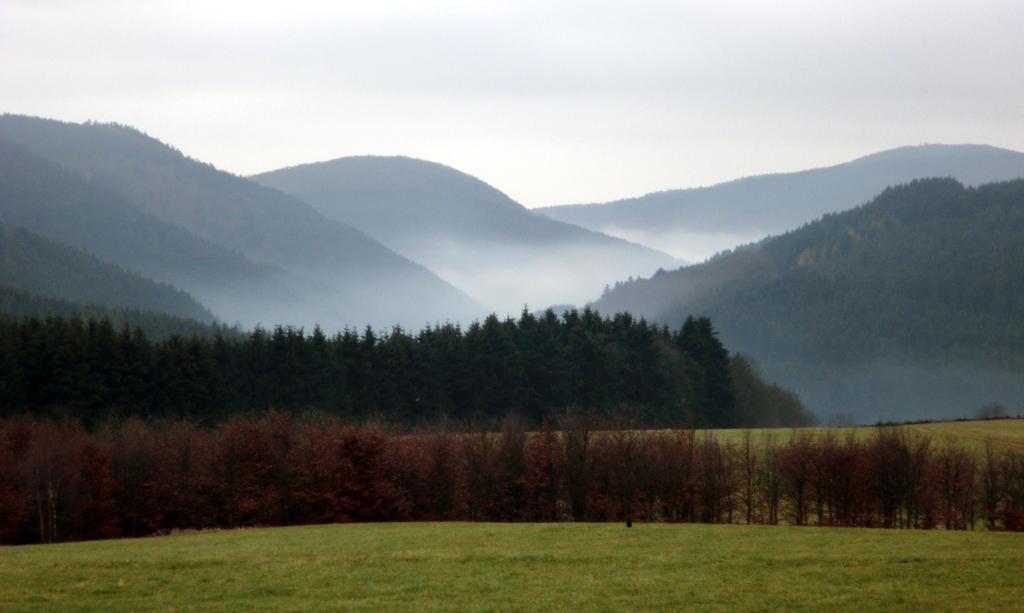 Landhaus Zur Linde Lägenhet Winterberg Rum bild