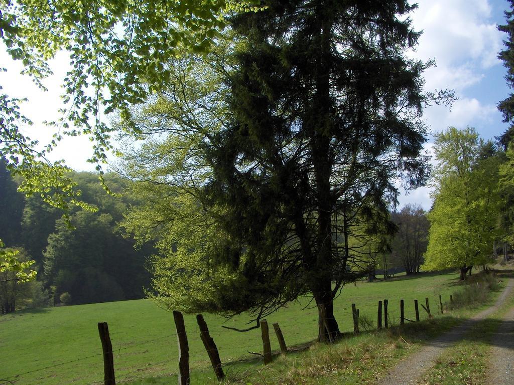 Landhaus Zur Linde Lägenhet Winterberg Rum bild